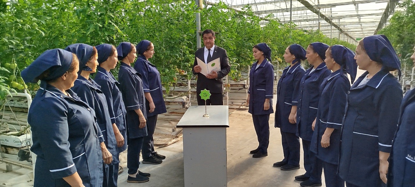 WAGYZ-NESIHAT EDILDI