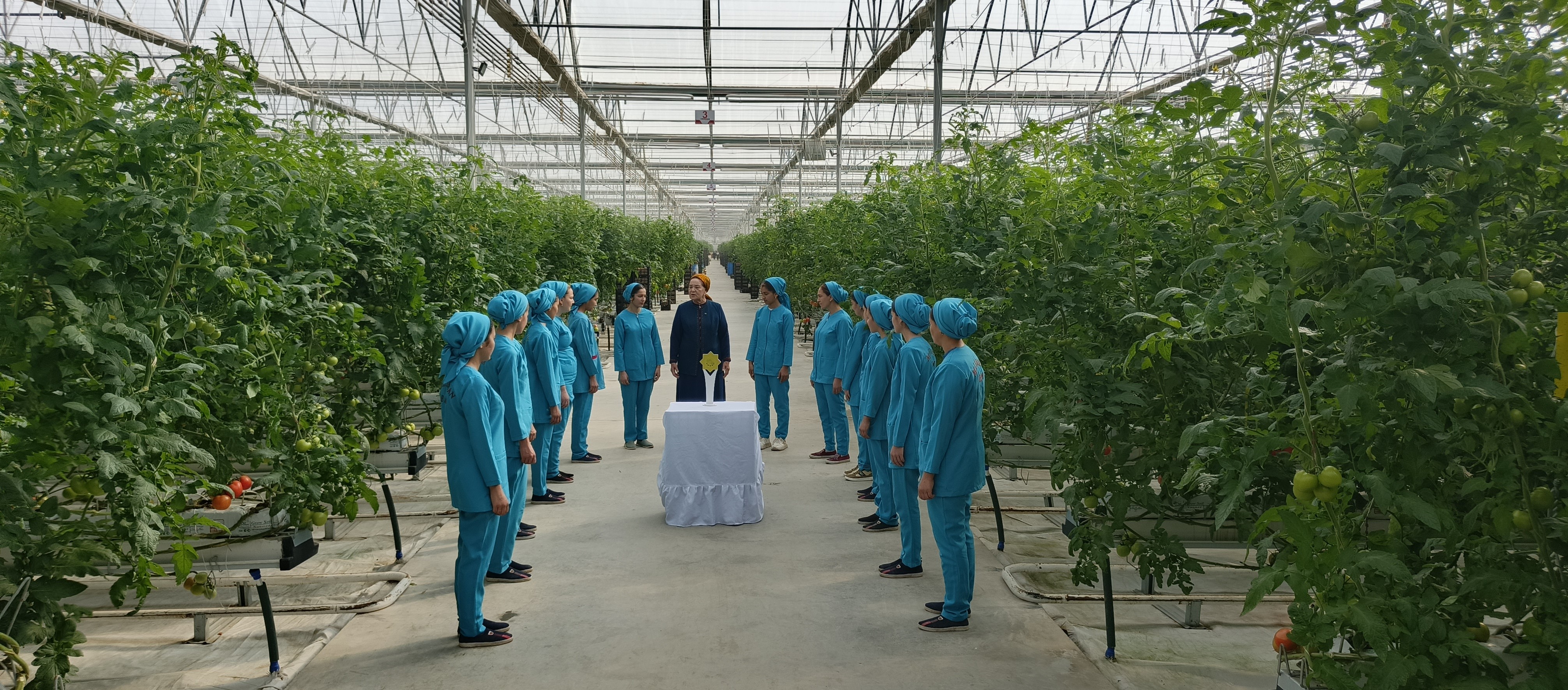 HEMIŞELIK BITARAPLYK – MÜDIMI ABADANÇYLYK