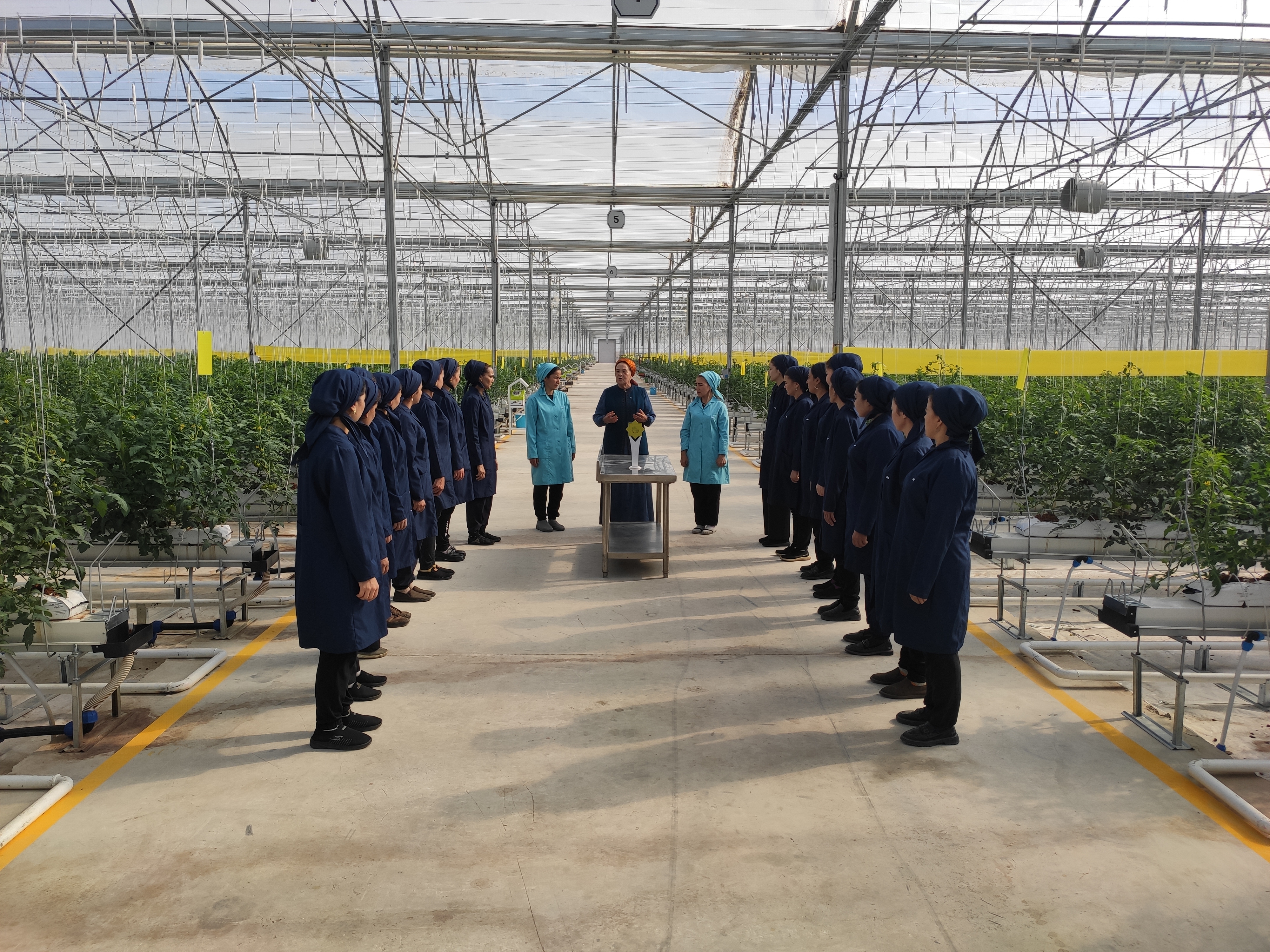 HEMIŞELIK BITARAPLYK – BAKY ABADANÇYLYK