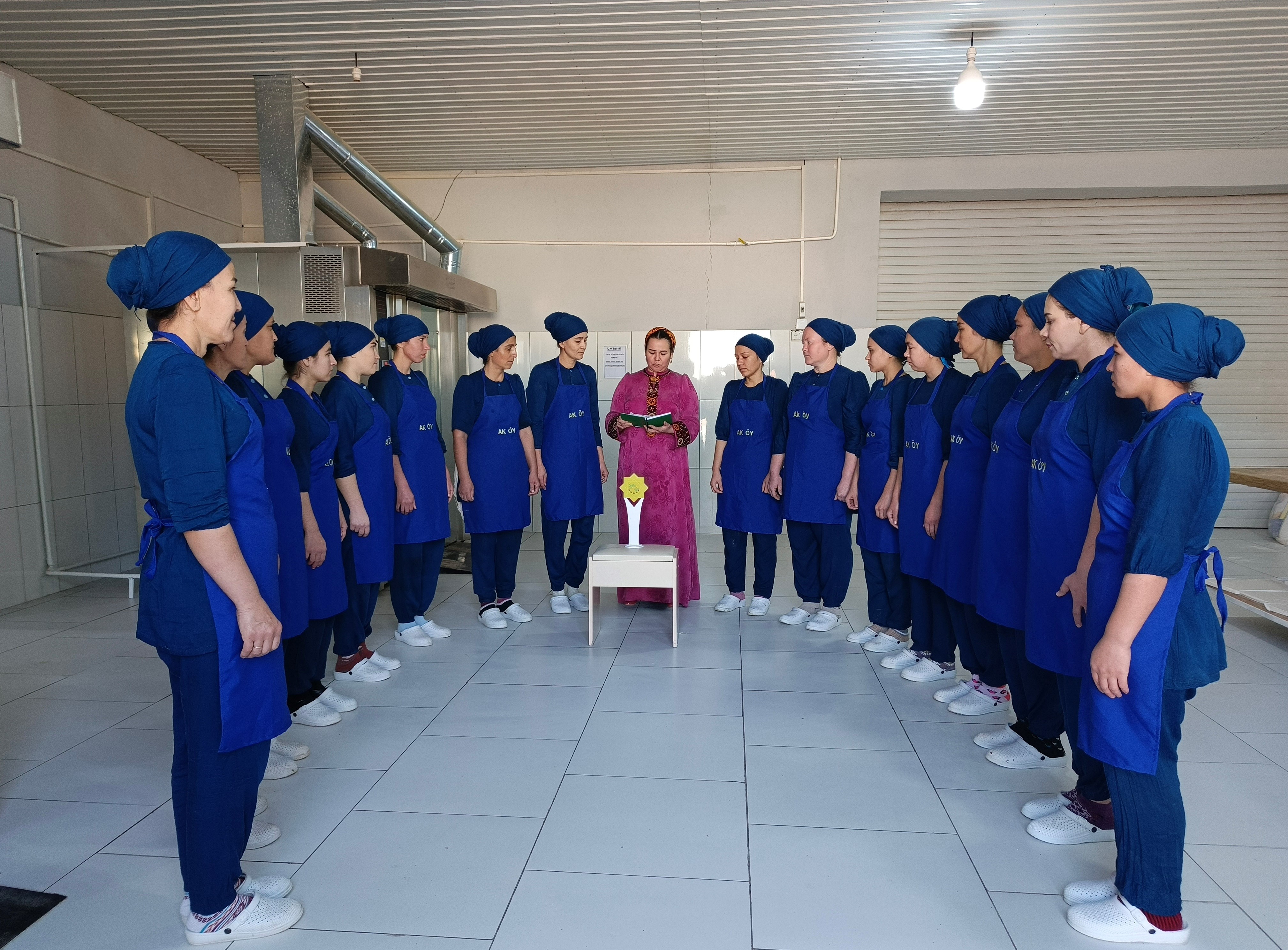 WAGYZ-NESIHAT ÇÄRESI GEÇIRILDI